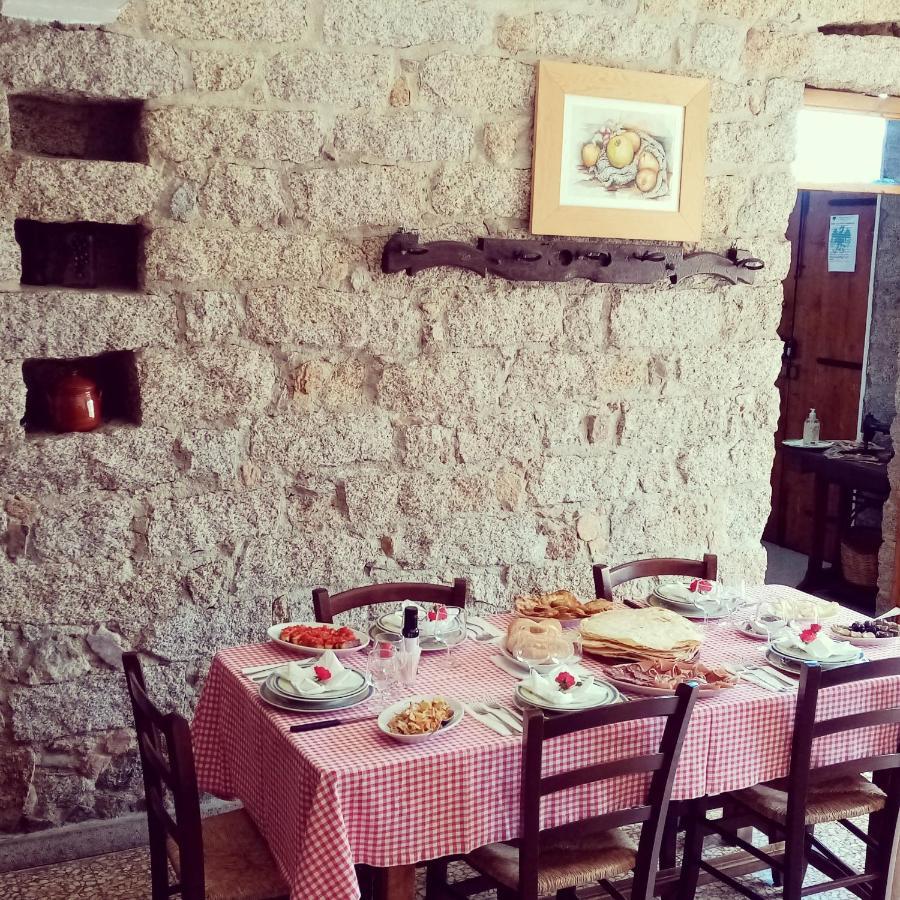 Willa Antichi Sapori Da Speranza Gavoi Zewnętrze zdjęcie