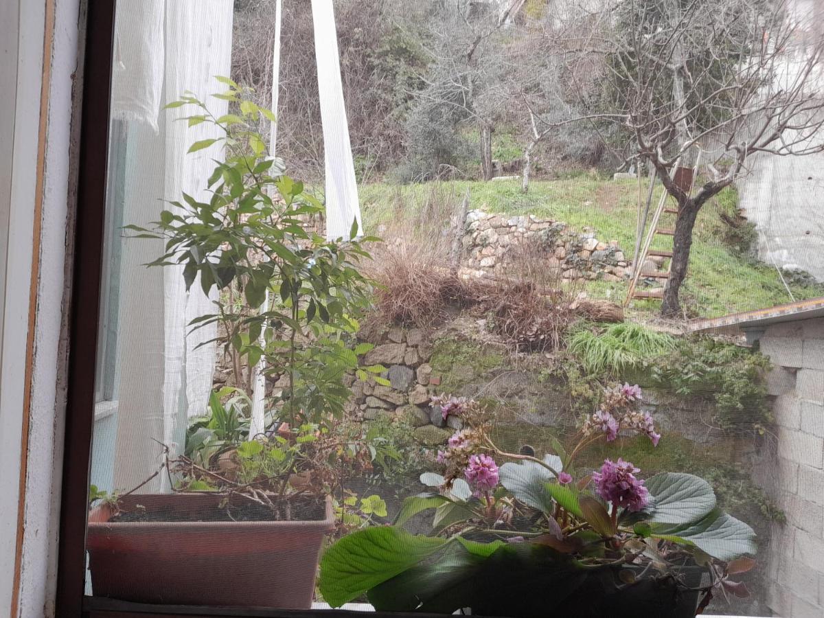 Willa Antichi Sapori Da Speranza Gavoi Pokój zdjęcie