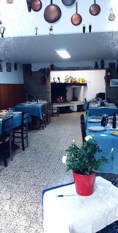 Willa Antichi Sapori Da Speranza Gavoi Zewnętrze zdjęcie